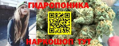 твердый Будённовск