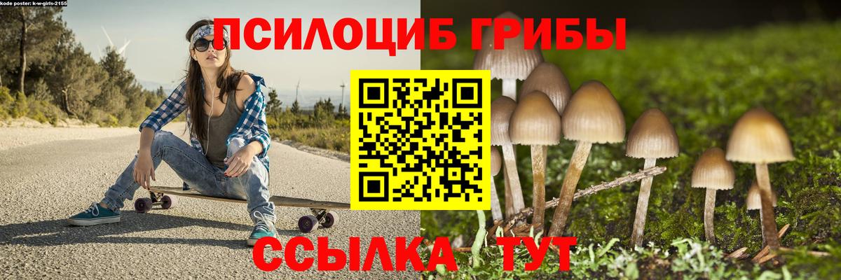 Псилоцибиновые грибы ЛСД Мурманск